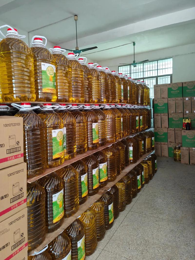 探寻农产品新机遇：苍梧社区的绿色变革