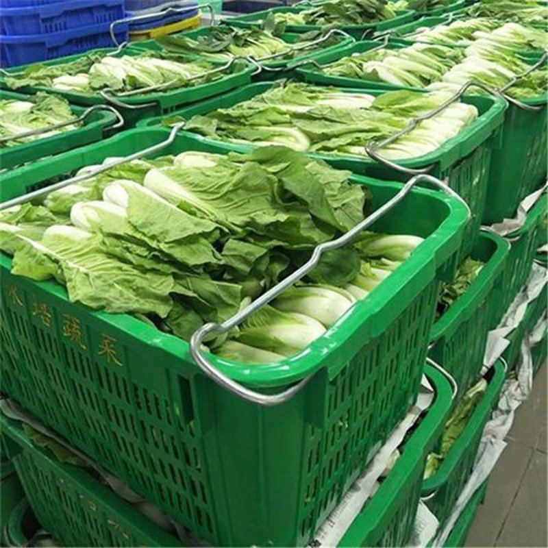 农产品批发案例解析:如何构建高效供应链