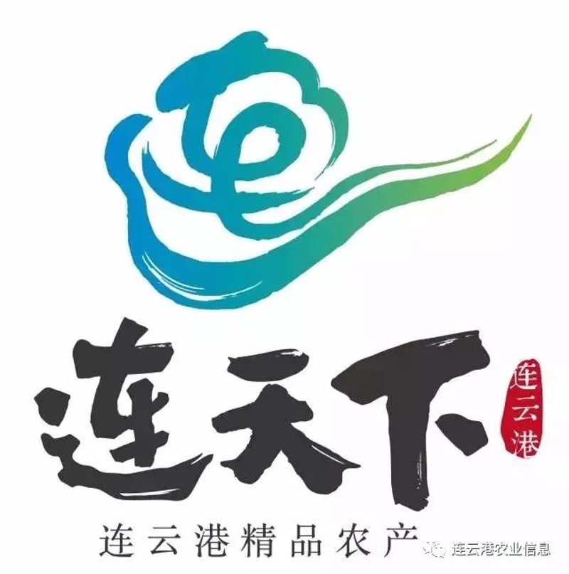 农产品批发技巧：打造高效供应链的秘诀